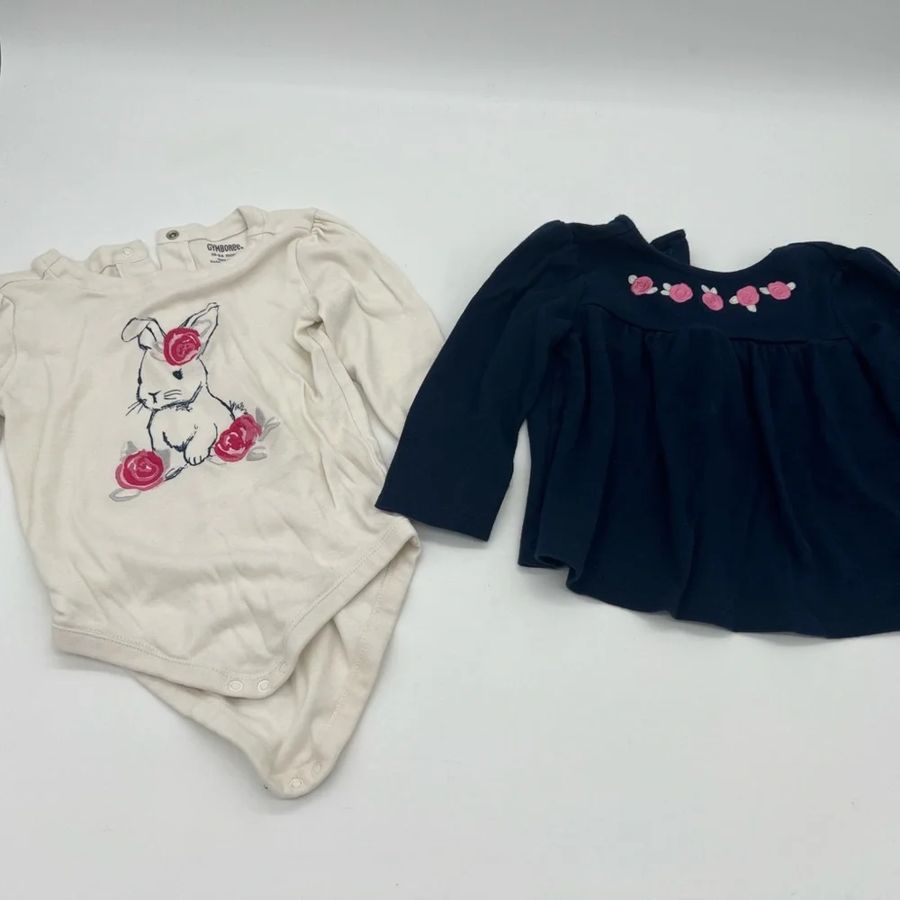 Gymboree Baby Girls Bunny Long Sleeve jumpsuit and Blue Floral Shirt 18-24 M